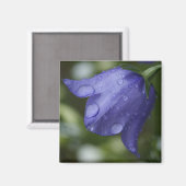 blauwe klok magneet (Voorkant / Achterkant)