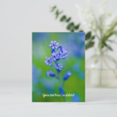 Blauwe klokjes bloem Ansichtkaart Briefkaart (Staand voorkant)