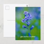 Blauwe klokjes bloem Ansichtkaart Briefkaart (Voorkant / Achterkant)