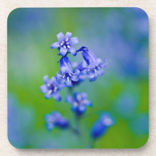 Blauwe klokjes bloem onderzetter