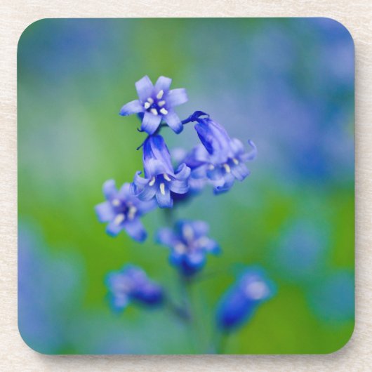 Blauwe klokjes bloem onderzetter (Voorkant)