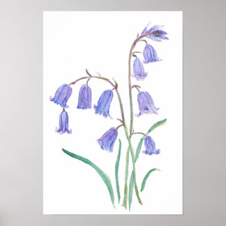 blauwe klokjes bloemen waterverf bloemen poster