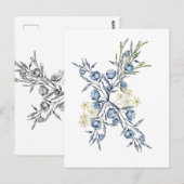 Blauwe klokjesbloem briefkaart (Voorkant / Achterkant)
