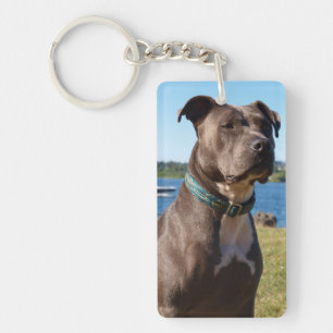 Blauwe knop sleutelhanger
