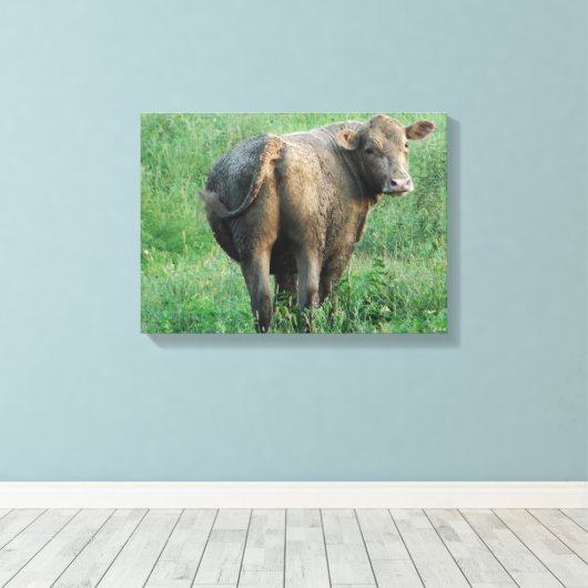 Blauwe Koe Canvas Afdruk (Insitu (Houten vloer))