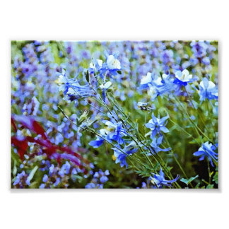 Blauwe kolommen - Bloemen Foto Afdruk