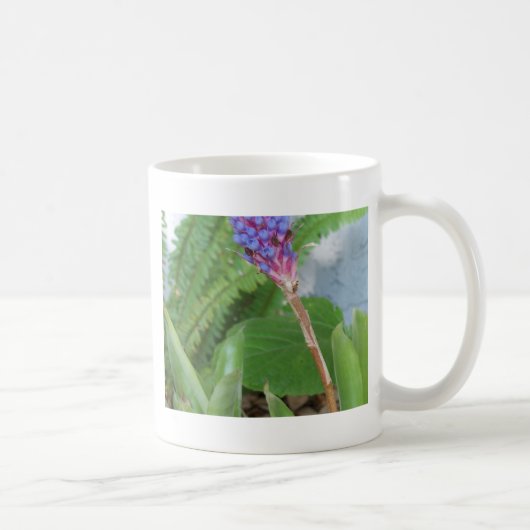 Blauwe kone Bromeliad Koffiemok (Rechts)