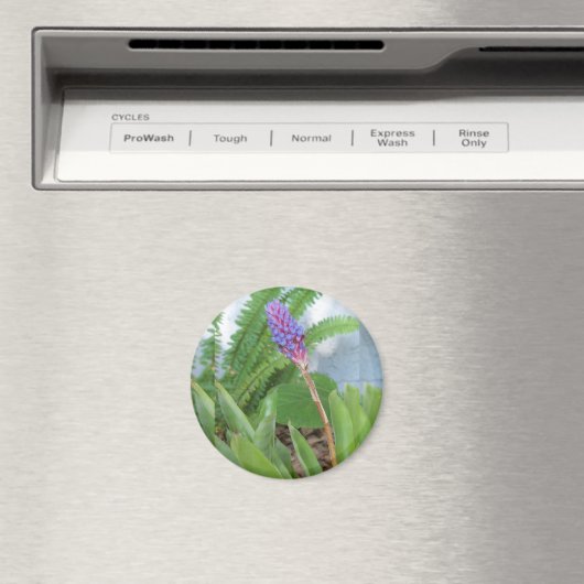 Blauwe kone Bromeliad Magneet (Insitu (Vaatwasser))