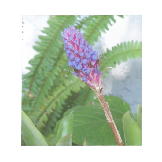Blauwe kone Bromeliad Notitieblok (Voorkant)