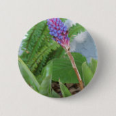 Blauwe kone Bromeliad Ronde Button 5,7 Cm (Voorkant)