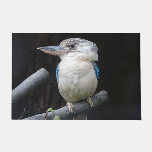 Blauwe kookaburra deurmat (Voorkant)