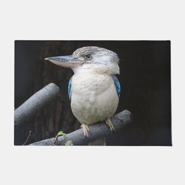 Blauwe kookaburra deurmat (Voorkant)