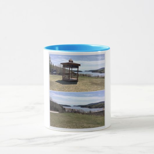 Blauwe kop, de bergerkiezer mok (Midden)