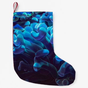 Blauwe koraal kleine kerstsok