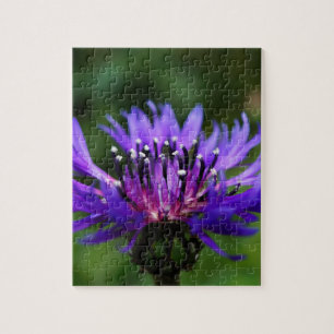 Blauwe Korenbloem Bloesem Bloemen Vrede Liefde Bes Legpuzzel