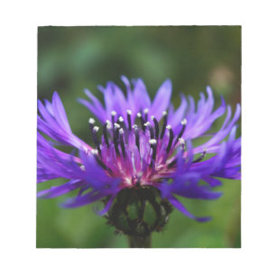 Blauwe Korenbloem Bloesem Bloemen Vrede Liefde Lot Notitieblok