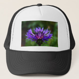 Blauwe Korenbloem Bloesem Bloemen Vrede Liefde Lot Trucker Pet