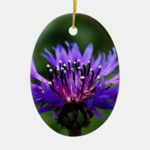 Blauwe Korenbloem Bloesem Vrede Liefde Bestemming Keramisch Ornament