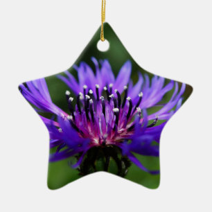 Blauwe Korenbloem Bloesem Vrede Liefde Bestemming Keramisch Ornament