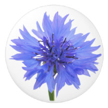blauwe korenbloem deurknop
