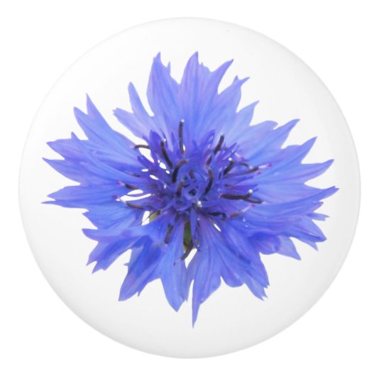 Blauwe korenbloem deurknop keramische knop (Voorkant)