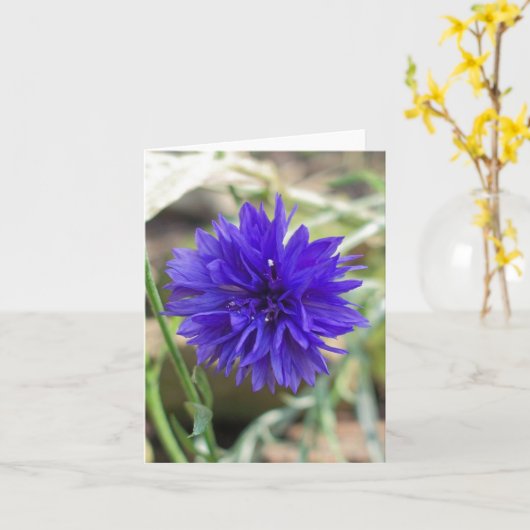 Blauwe korenbloem kaart (Gele Bloem)