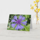 Blauwe korenbloem met groetkaart, in blanco kaart (Gele Bloem)