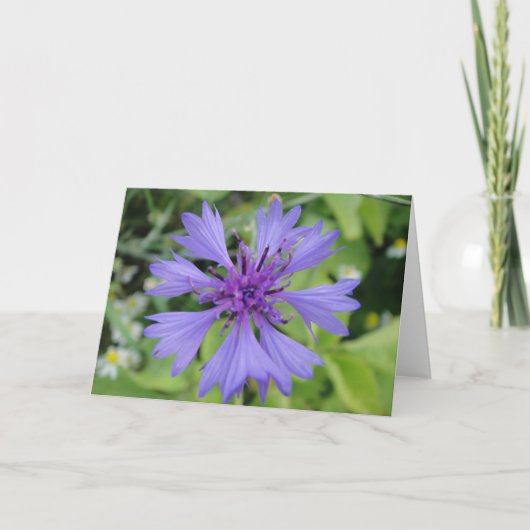 Blauwe korenbloem met groetkaart, in blanco kaart (Voorkant)