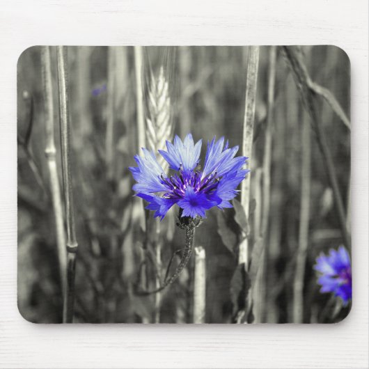 Blauwe korenbloem muismat (Voorkant)