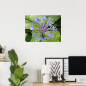 Blauwe Korenbloem Print (Thuiskantoor)