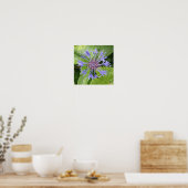 Blauwe Korenbloem Print (Keuken)