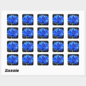 Blauwe korenbloem Stickers (Vel)
