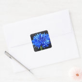 Blauwe korenbloem Stickers (Envelop)