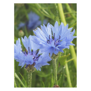 blauwe korenbloem tafelkleed