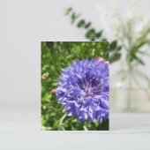 Blauwe kornbloem briefkaart (Staand voorkant)