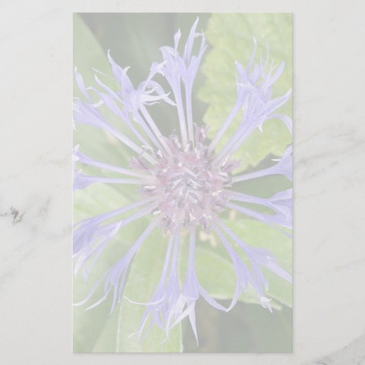 Blauwe kornbloem briefpapier (Voorkant)