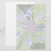 Blauwe kornbloem briefpapier (Voorkant / Achterkant)