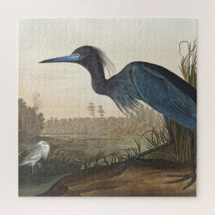 Blauwe Kraanvogel of Reiger uit Birds of America Legpuzzel