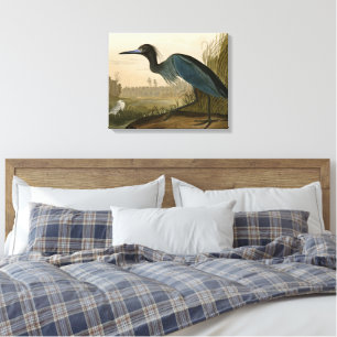 Blauwe Kraanvogel Reiger Audubon Kunst Kust Kunst Canvas Afdruk