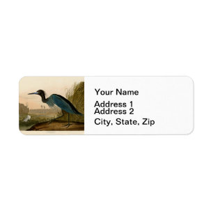 Blauwe Kraanvogel Reiger Audubon Kunst Kust Kunst Etiket