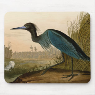 Blauwe Kraanvogel Reiger Audubon Kunst Kust Kunst Muismat