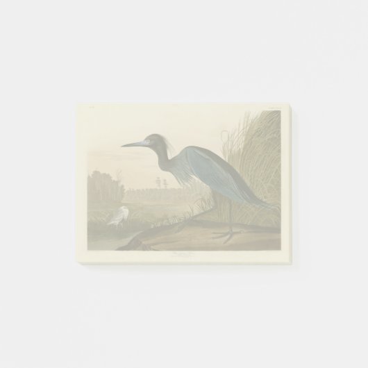 Blauwe Kraanvogel Reiger Audubon Kunst Kust Kunst Post-it® Notes (Voorkant)