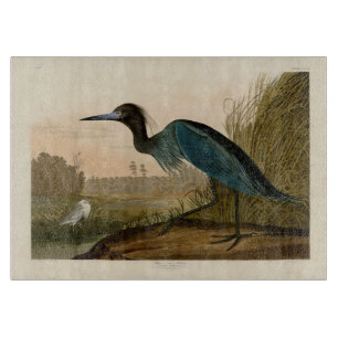 Blauwe Kraanvogel Reiger Audubon Kunst Kust Kunst Snijplank