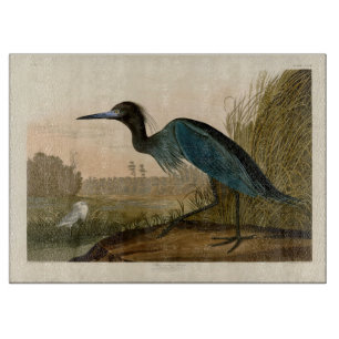 Blauwe Kraanvogel Reiger Audubon Kunst Kust Kunst Snijplank