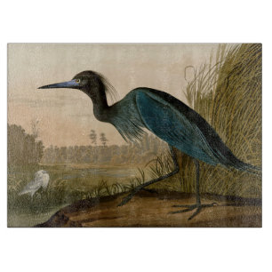 Blauwe Kraanvogel Reiger Audubon Kunst Kust Kunst Snijplank