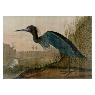 Blauwe Kraanvogel Reiger Audubon Kunst Kust Kunst Snijplank