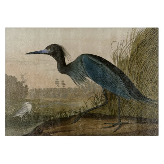 Blauwe Kraanvogel Reiger Audubon Kunst Kust Kunst Snijplank (Voorkant)