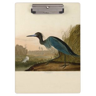 Blauwe Kraanvogel Reiger Audubon Prent Kustkunst Klembord
