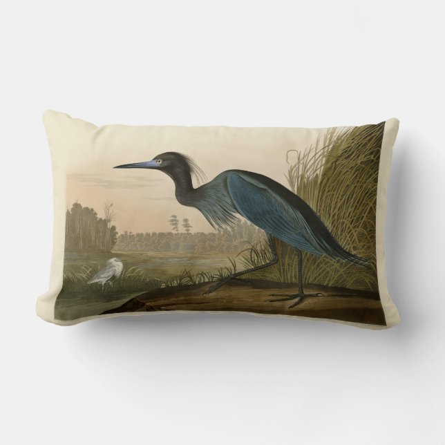 Blauwe Kraanvogel Reiger Audubon Prent Kustkunst Kussen (Voorkant)