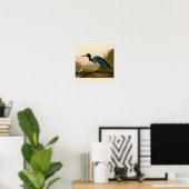 Blauwe Kraanvogel Reiger Audubon Prent Kustkunst Poster (Thuiskantoor)